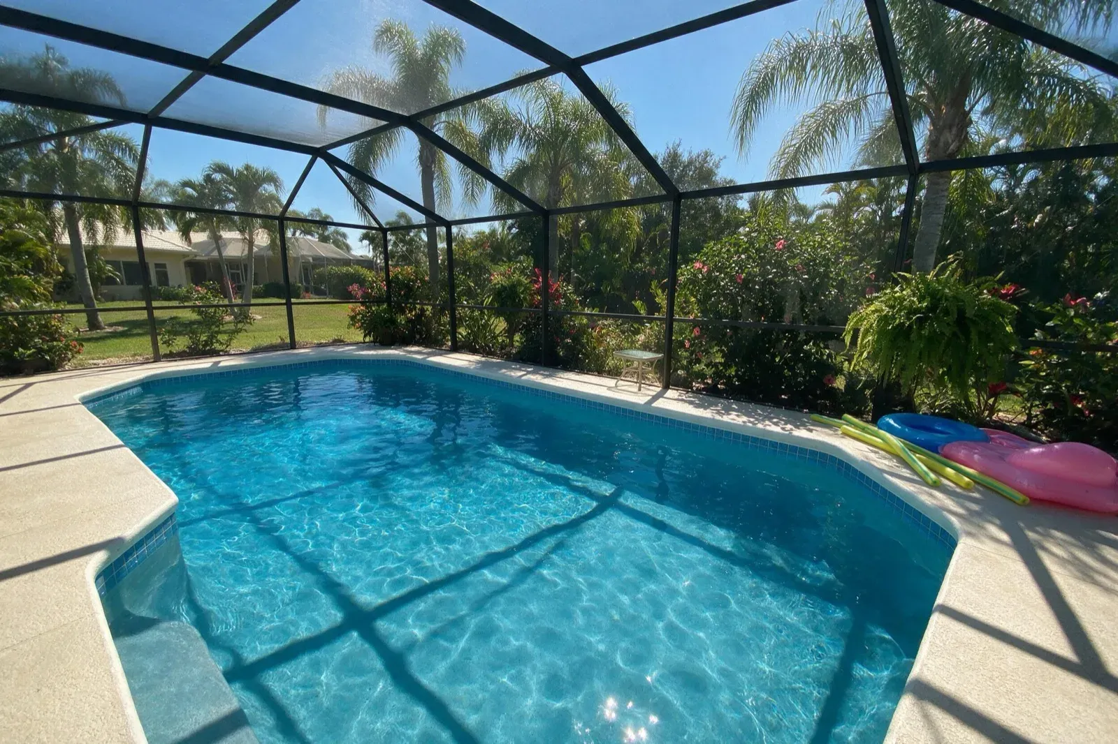 Clear, swim-ready Naples pool inside a screened enclosure after cleanup