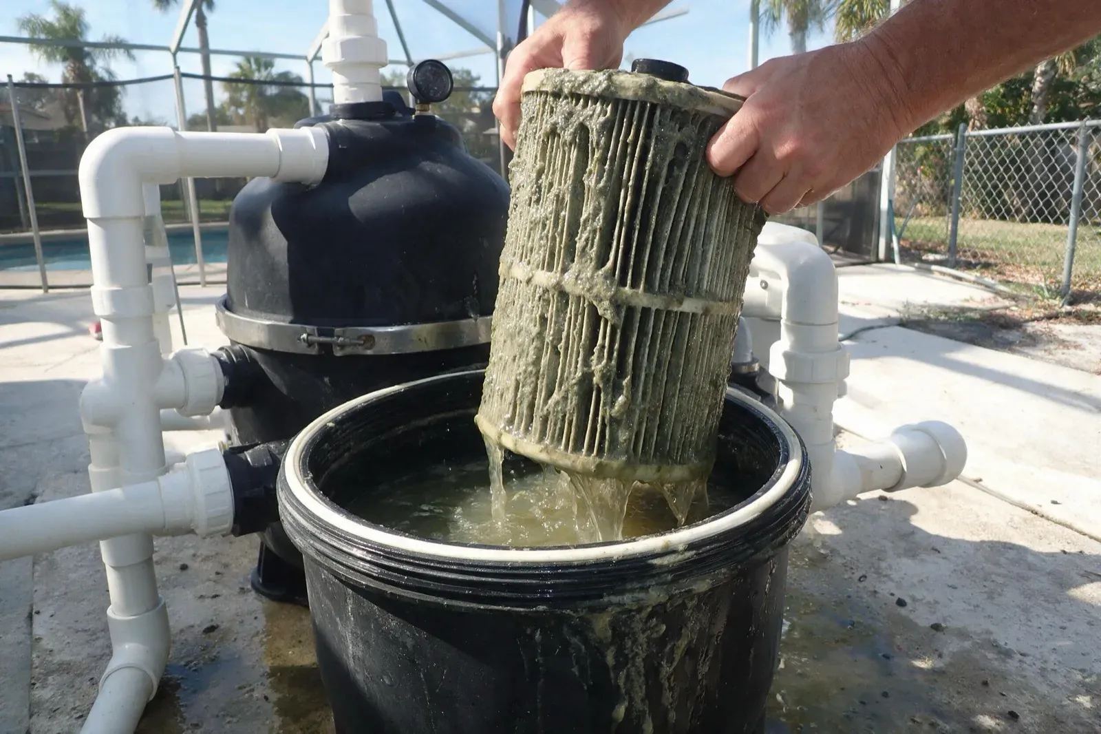 Technician pulling an algae-caked cartridge filter out of its housing