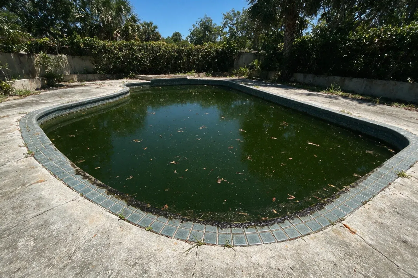 Open-air Fort Myers pool filled with green algae water before cleanup