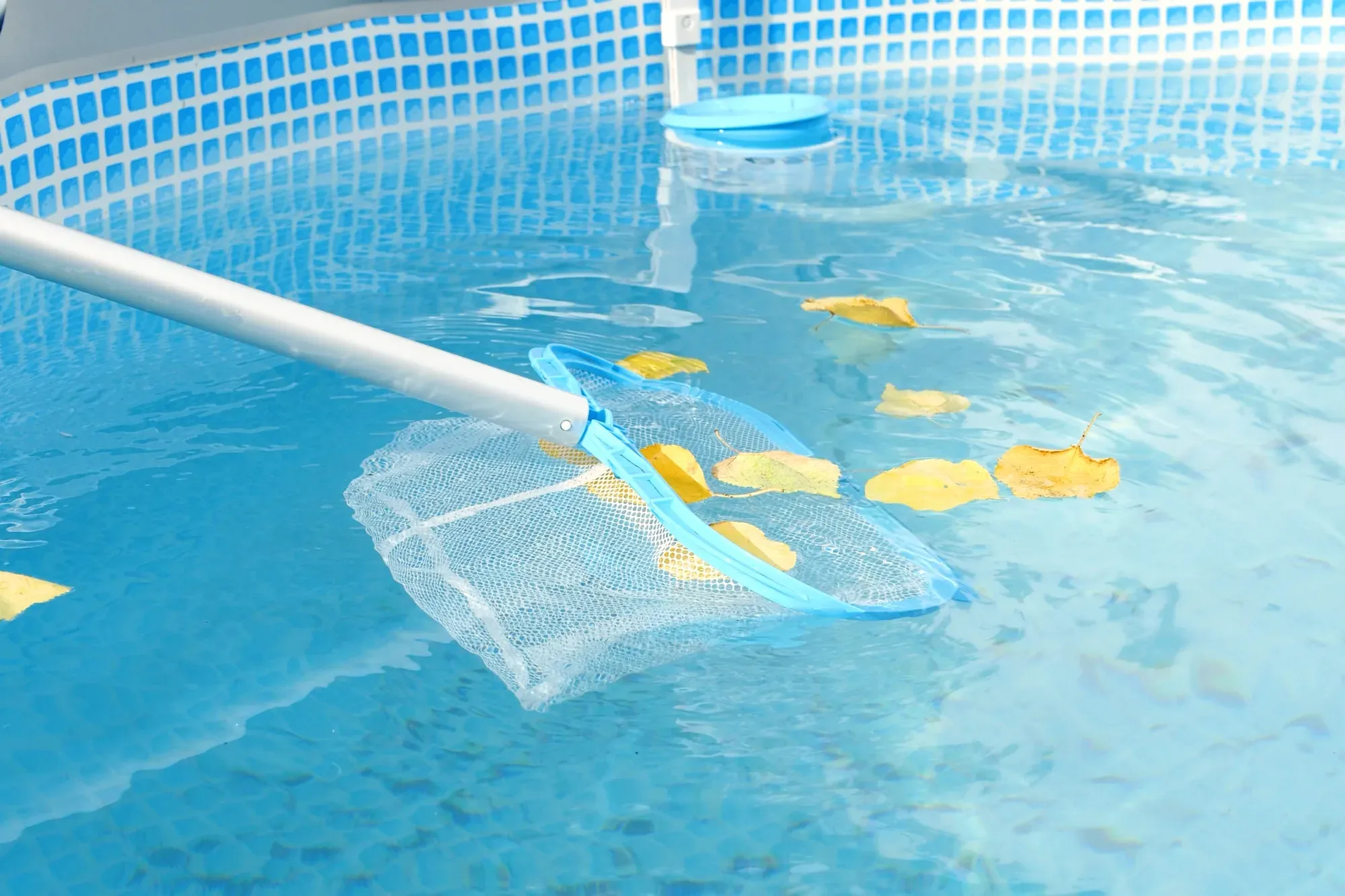 Mesh skimmer lifting fallen leaves from the water surface
