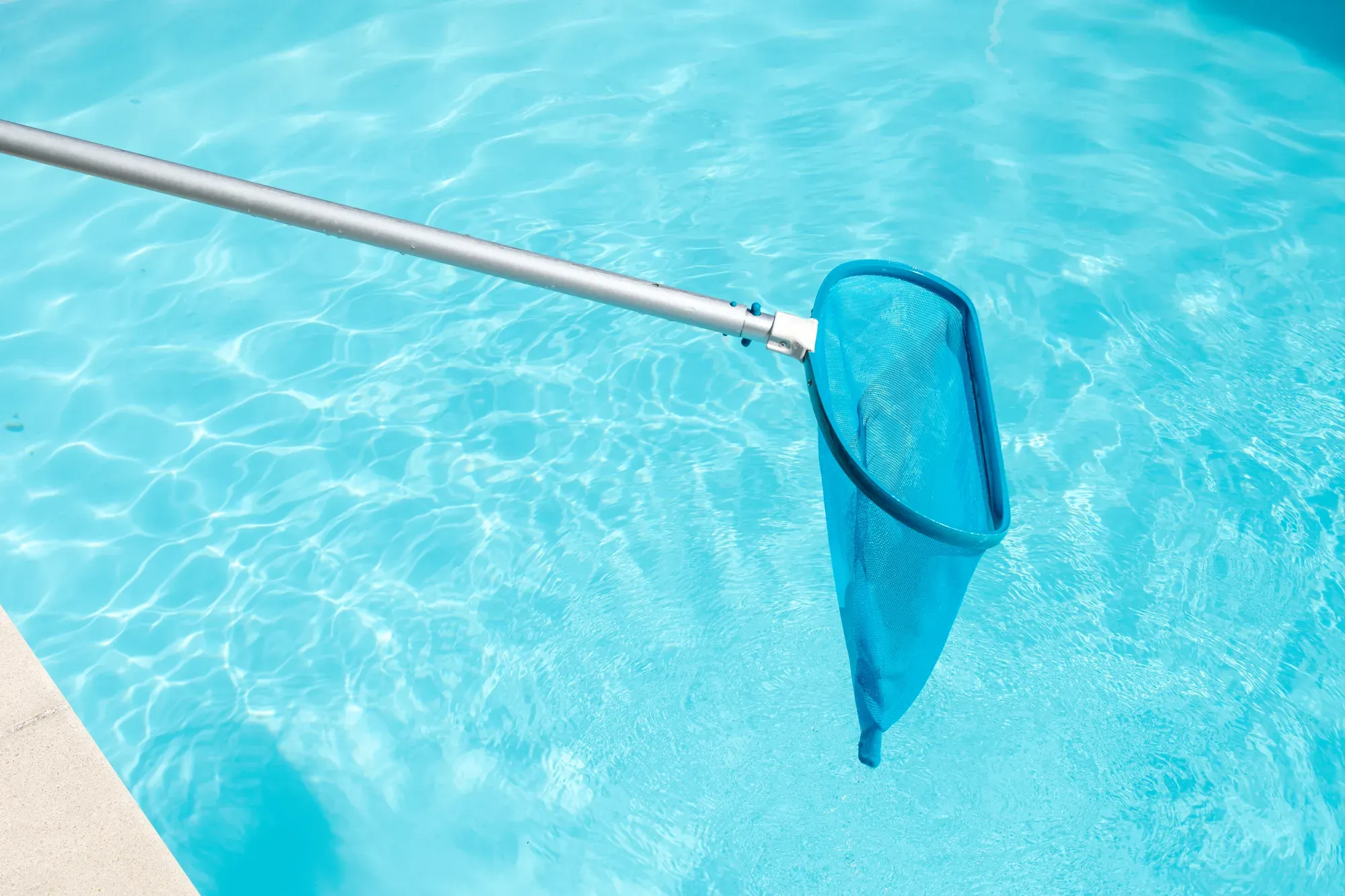Close-up of a pool skimmer net used to remove surface debris