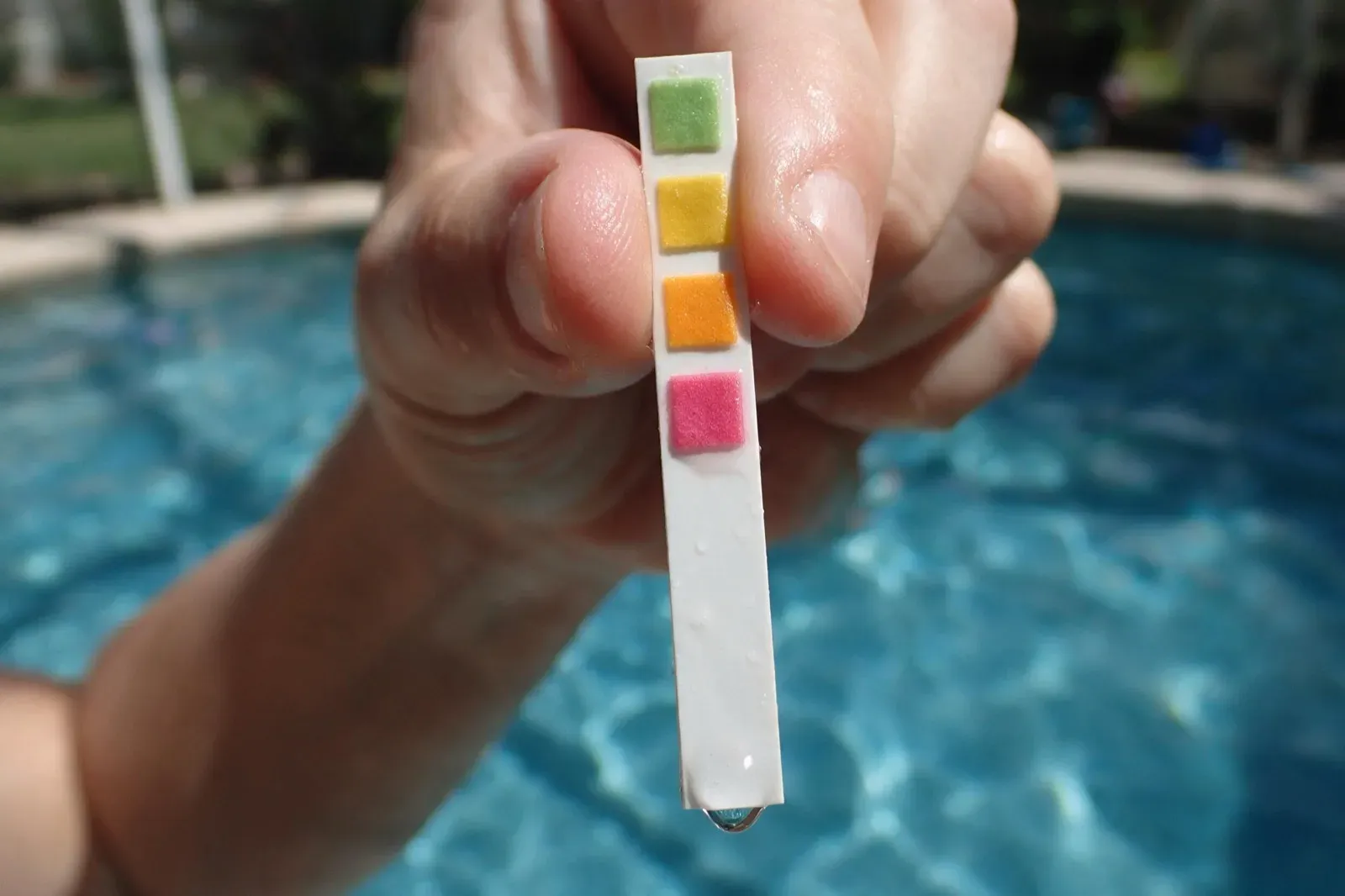Pool test strip showing its reagent pad colours after a water test