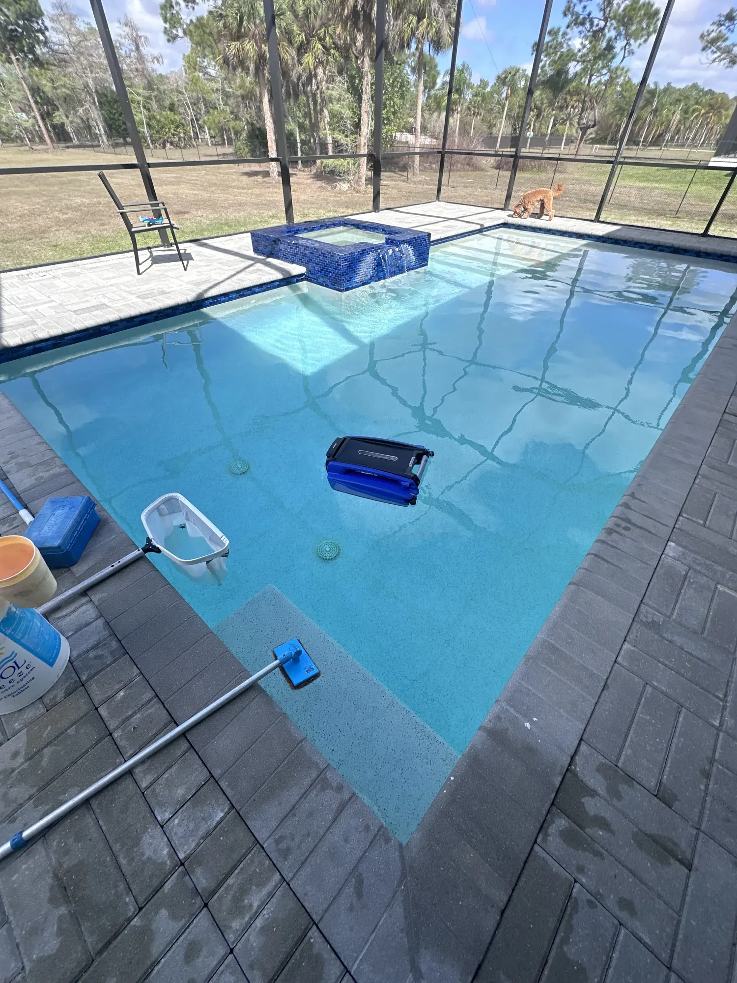 Screened pool cage over a pool and spa in a Naples backyard