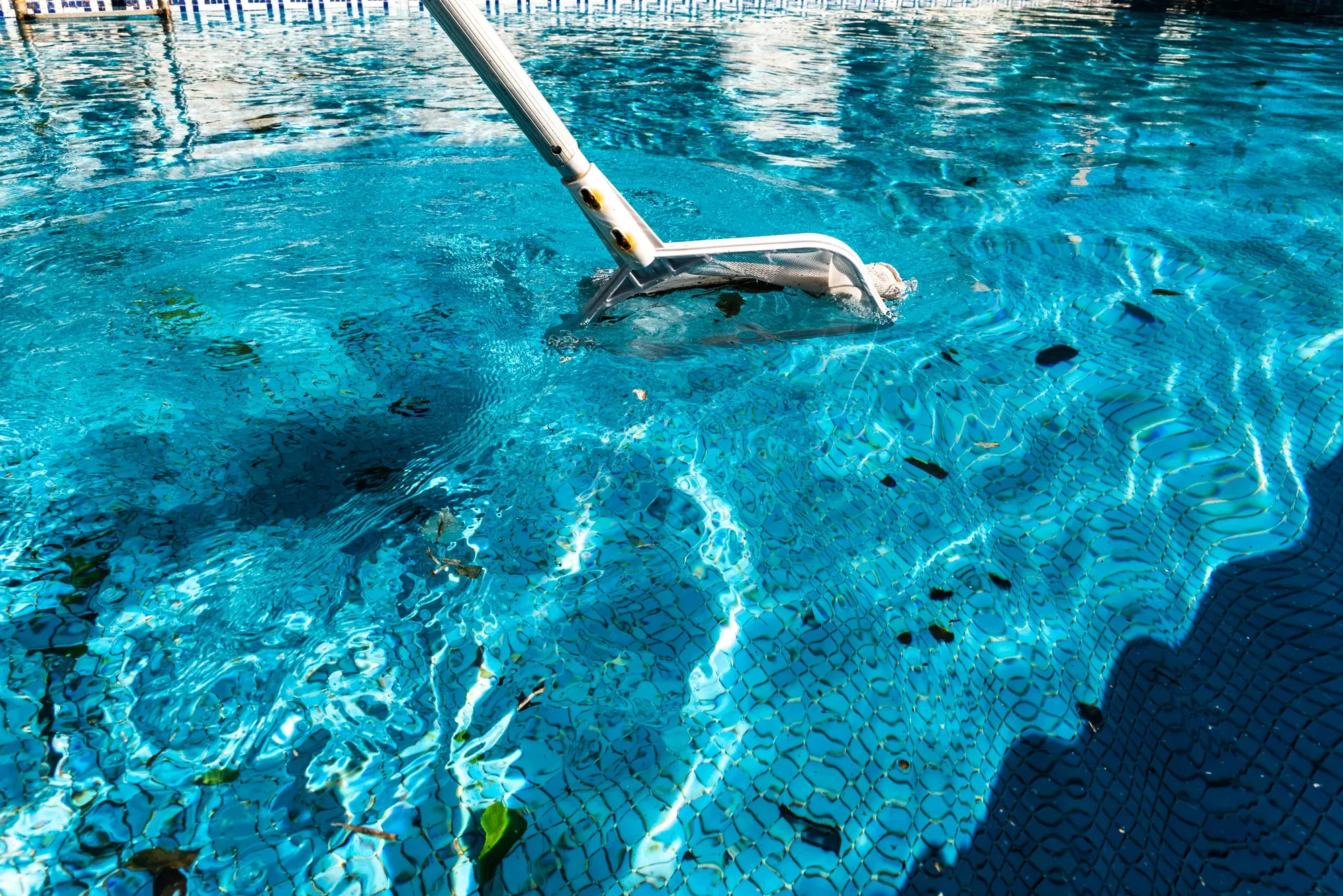 Net skimming leaves and debris out of pool water